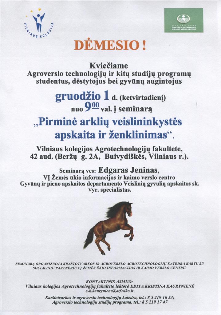horses_1